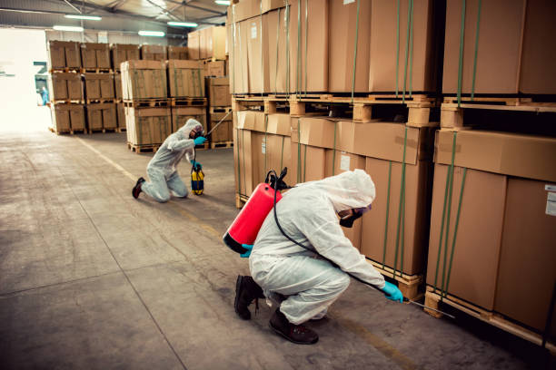 Professional Pest Control in Kearney Park, MS