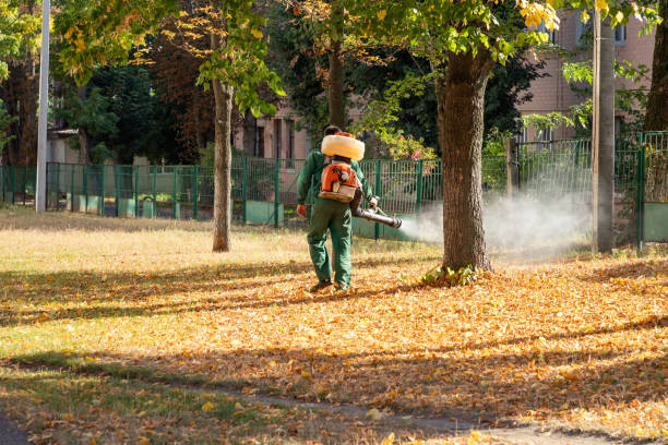 Best Affordable Pest Control Services  in Kearney Park, MS