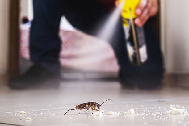 Best Best Pest Control Companies  in Kearney Park, MS